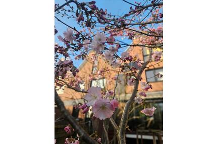 Familienfreundliches Reihenhaus im Herzen Hildens
