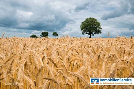 7 ha landwirtschaftliche Flächen zu verkaufen - Neuruppin