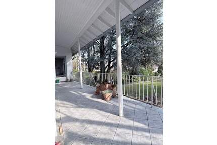 Repräsentative, helle Etagenwohnung mit großer Terrasse - Herne Horsthausen