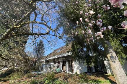 Wohnung zum Kaufen in Buchenbach 629.000,00 € 185 m²