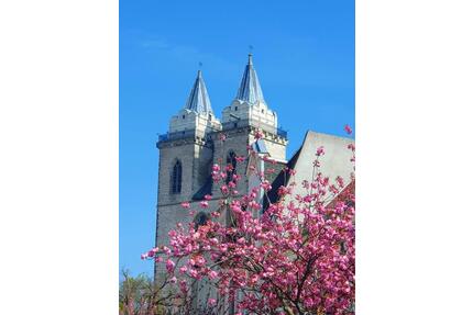 Schönebeck Monteurwohnung, Ferienwohnung, Zimmer, Hotel, Pension - Schönebeck (Elbe)