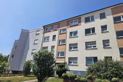 Wohnung zum Mieten in Essen 295,00 € 36 m²