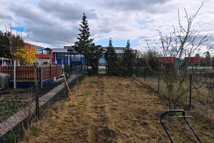 Garten Grundstück Rüsselsheim Königstädten zur Pacht ohne Verein - Rüsselsheim am Main