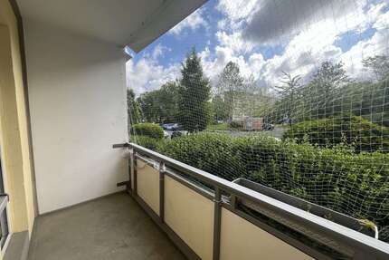 Wohnung zum Mieten in Zwickau 285,00 € 45 m²
