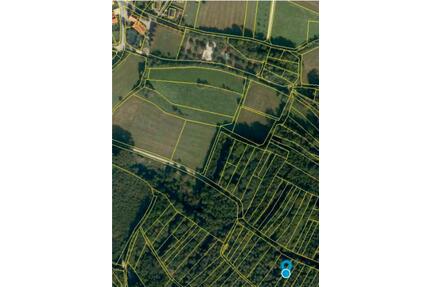 Waldstück mit 820m² in der Nähe vom Drosendorf - Eggolsheim