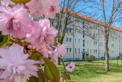 Nur wenige Treppenstufen.. - 306,00&nbsp;EUR Kaltmiete, ca.&nbsp; 47,00&nbsp;m&sup2; in Freiberg (PLZ: 09599)