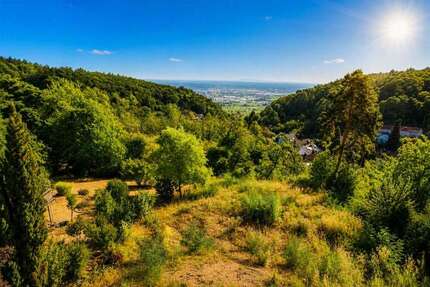 Grundstück zu verkaufen in Neustadt an der Weinstraße 599.000,00 € 1033 m²