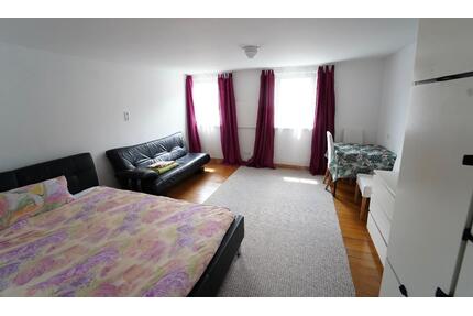 Möblierte 1-Zimmer Wohnung in Horb-Rexingen - Horb am Neckar