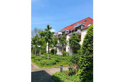 Wohnung zum Mieten in Dresden 590,00 € 64.3 m²