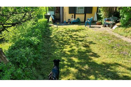 Privates Gartengrundstück in Thüringen ,Stadtroda 07646