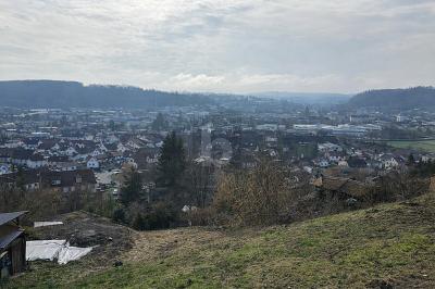 NATUR & AUSSICHT VEREINT - 120.000,00&nbsp;EUR Kaufpreis, ca.&nbsp; 959,00&nbsp;m&sup2; in Lörrach (PLZ: 79541)