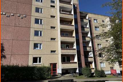 Wohnung zum Mieten in Gera 230,00 € 35 m²