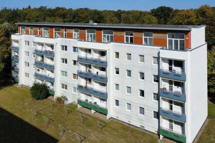 Wohnung zum Kaufen in Bad Doberan Heiligendamm 249.000,00 € 42.2 m² - Bad Doberan / Heiligendamm