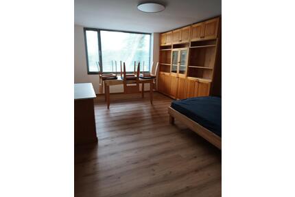 Pendlerwohnung - 400,00&nbsp;EUR Kaltmiete, ca.&nbsp; 26,00&nbsp;m&sup2; in Mainz (PLZ: 55124) Gonsenheim