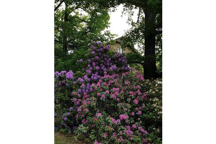 Wohnung in Großweitzschen zu vermieten - Waldheim