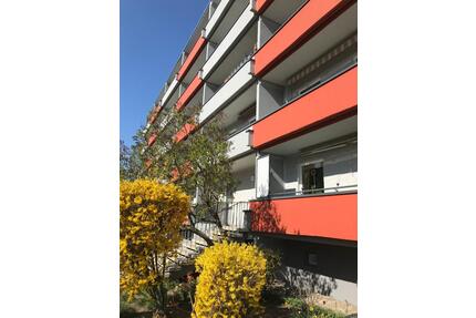 Gemütliche 2-Raumwohnung in Zerbst – Breitestein 8 - Zerbst (Anhalt)