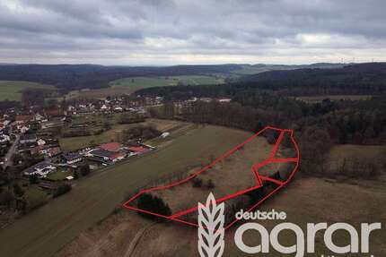 Grundstück in Neustadt (Hessen) Mengsberg 19.900,00 € 19404 m² - Neustadt (Hessen) / Mengsberg