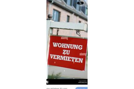 Gemütliche Dachgeschosswohnung zu vermieten - Metelen