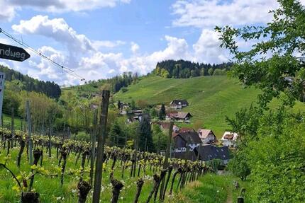 Rebfläche zu pachten - 70,00&nbsp;EUR Kaltmiete, ca.&nbsp; 0,00&nbsp;m&sup2; in Sasbachwalden (PLZ: 77887)