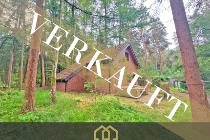 6.503 m² Naturparadies an der Hunte – Wochenendhaus in traumhafter Waldlage - Wildeshausen