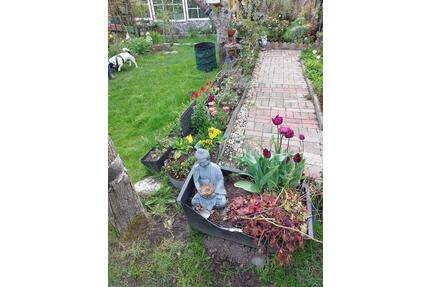 Kleingarten mit verklinkerten Steinhaus - Wilhelmshaven Altengroden