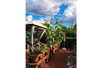 400 qm Kleingarten in Sparte - 4.250,00&nbsp;EUR Kaltmiete, ca.&nbsp; 0,00&nbsp;m&sup2; in Brandenburg an der Havel (PLZ: 14772) Görden