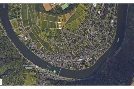 Wingert in Traben (Vorderuntels) zu verpachten - Traben-Trarbach