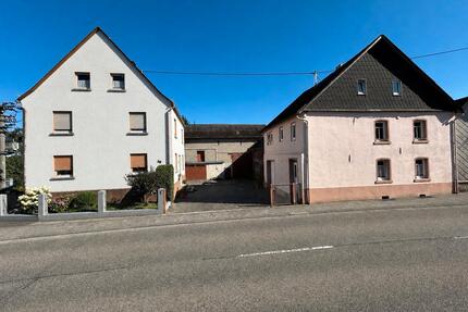 Bauernhaus mit großem Grundstück, Scheune & Entwicklungspotenzial - Nentershausen