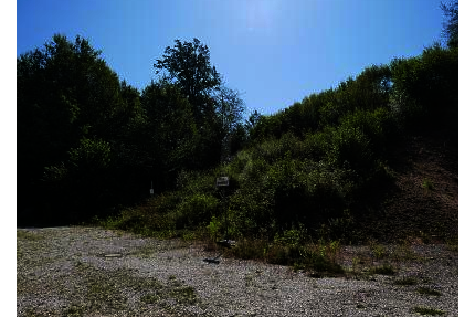 RUHE PUR! NATURPARADIES AM ORTSRAND - Regenstauf