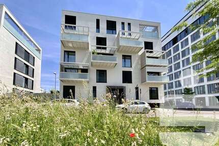 Wohnung zum Kaufen in Ulm 295.000,00 € 64 m²