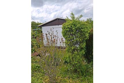 Pachtgarten - 3.900,00&nbsp;EUR Kaltmiete, ca.&nbsp; 0,00&nbsp;m&sup2; in Dresden (PLZ: 01279) Blasewitz