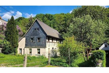 Fast fertig saniert – ruhig & familienfreundlich - Frohburg Gnandstein