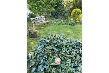 EG 80 qm 3ZKDB Gäste WC Garten und Garage in Odenkirchen - Mönchengladbach West