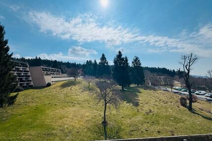 2 Zimmer Ferienapartment - 74.000,00&nbsp;EUR Kaufpreis, ca.&nbsp; 52,00&nbsp;m&sup2; in Sankt Englmar (PLZ: 94379)