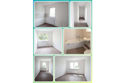 Wohnung zum Mieten in Schkeuditz 531,00 € 59 m²