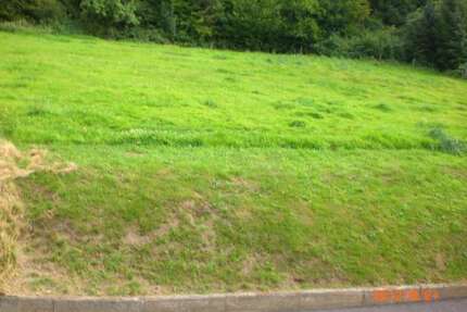 Grundstück zu verkaufen in Knüllwald-Appenfeld 19.500,00 € 720 m²