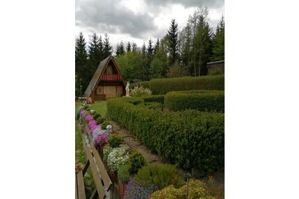 Kleingeartenverein - 2.500,00&nbsp;EUR Kaltmiete, ca.&nbsp; 0,00&nbsp;m&sup2; in Marienberg (PLZ: 09496)