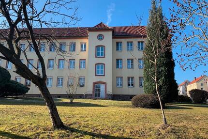 Gemütliche 2-Zimmer-Wohnung mit offenem Wohn- und Küchenbereich in Hochschul-Nähe - Mittweida