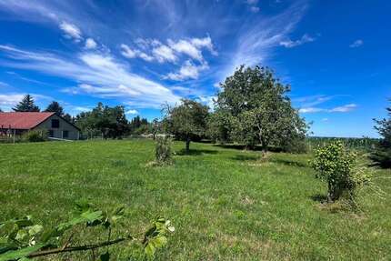 Grundstück zu verkaufen in Bad Sulza 236.000,00 € 2492 m²