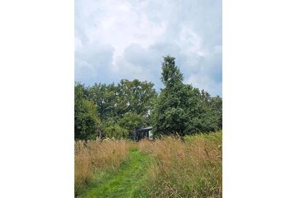 vermiete wunderschönes Naturgrundstück für Tinyhaus, Tipi usw. - Leipzig Nordost