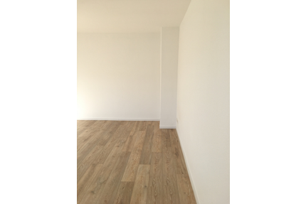 Wohnung zum Mieten in Wiesbaden 550,00 € 32 m²