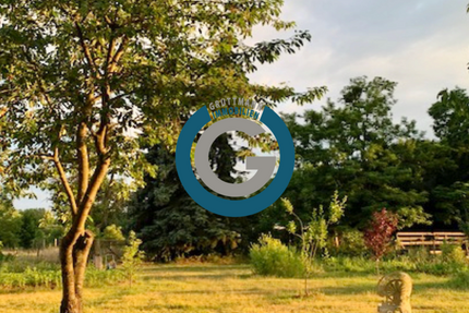 Haus zum Kaufen in Liebenwalde 499.000,00 € 227 m²