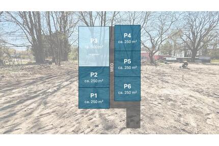 Erholungsgrundstück und Garten in Zossen ab 250 m² zu verpachten