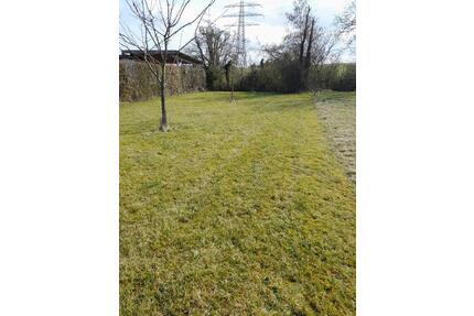 Obstbaumwiese Baumstück - 4.000,00&nbsp;EUR Kaltmiete, ca.&nbsp; 0,00&nbsp;m&sup2; in Ötisheim (PLZ: 75443)