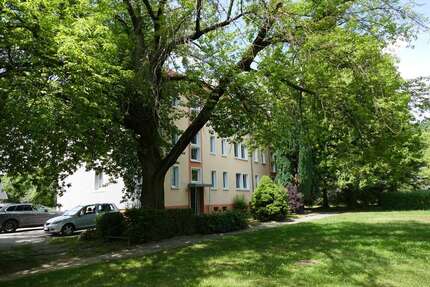 Wohnung zum Mieten in Groß Döbbern 450,00 € 69 m²
