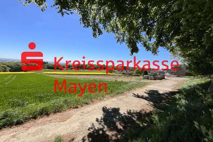 Grundstück zu verkaufen in Mayen 193.500,00 € 774 m²