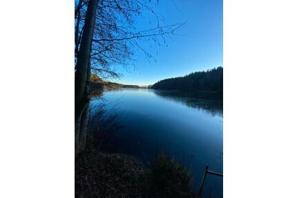 Teichanlage zu verpachten - 650,00&nbsp;EUR Kaltmiete, ca.&nbsp; 0,00&nbsp;m&sup2; in Stulln (PLZ: 92551)