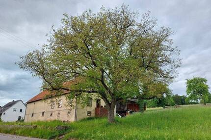 Ehemaliges Bauernhaus mit Scheunenhaus, reichlich Ausbaupotenzial mit herrlichem Grundstück (Doppelhaushälfte) in Blieskastel-Brenschelbach