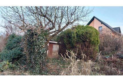 Kleingarten mit Obstbäumen & Laube wartet auf neuen Gärtner - Merseburg