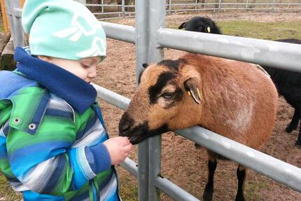 Ferienwohnung nähe Nordsee Ostsee - Viöl